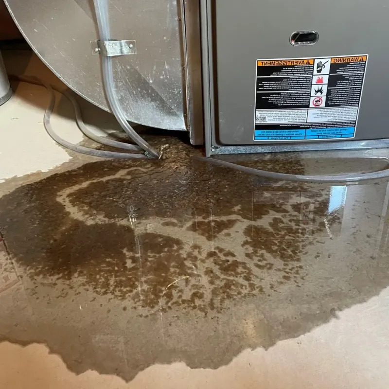 Pipe Burst and Leak Restoration in Taos County, NM