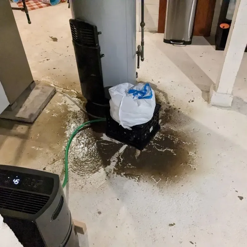 Sewage Backup Cleanup Service in Taos County, NM